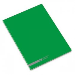 Caderno Agrafado A4 Pautado Ambar School Verde 48Fls 1un 17380160118