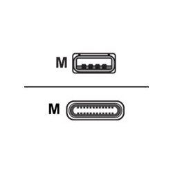 Cisco - Cabo USB - USB (M) para 24 pin USB-C (M) - 4 m - para Webex Room Kit Mini CAB-USBC-4M-GR