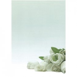 Papel Temático Flor Branca A4 90g 20 Folhas APL12126