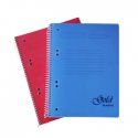 Caderno Espiral A5 Quadriculado Platanus Sortido 100Fls 1un 108Z26178