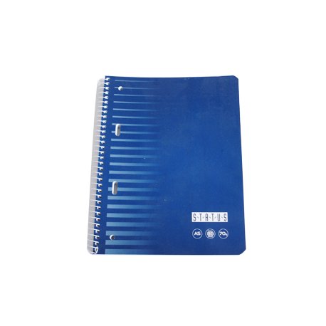 Caderno Espiral A5 Quadriculado EnriStatus 80Fls 1un 170Z30213