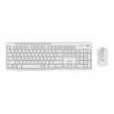 Logitech MK295 Silent - Conjunto de teclado e rato - sem fios - 2.4 GHz - Alemão - esbranquiçado 920-009819