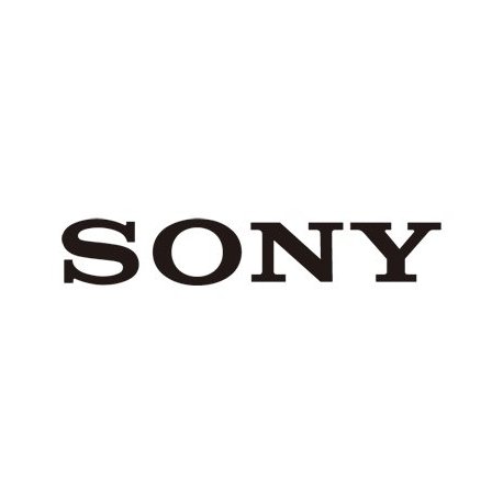 Sony VPL-XW5000 - Projector SXRD - 2000 lumens - 2000 lumens (cor) - 3840 x 2160 - 16:9 - 4K - preto VPL-XW5000/B