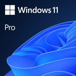 Win 11 Pro GGK 64Bit Portuguese 1pk DSP ORT OEI DVD 4YR-00333