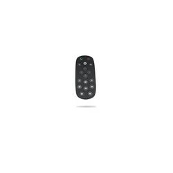 Spare/Group USB WW Remote Control 993-001142