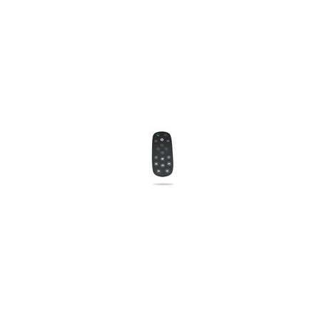 Spare/Group USB WW Remote Control 993-001142