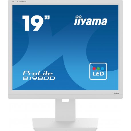 iiyama ProLite B1980D-W5 - Monitor LED - 19" - 1280 x 1024 @ 60 Hz - TN - 250 cd/m² - 1000:1 - 5 ms - DVI, VGA - branco mate B1