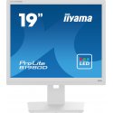 iiyama ProLite B1980D-W5 - Monitor LED - 19" - 1280 x 1024 @ 60 Hz - TN - 250 cd/m² - 1000:1 - 5 ms - DVI, VGA - branco mate B1