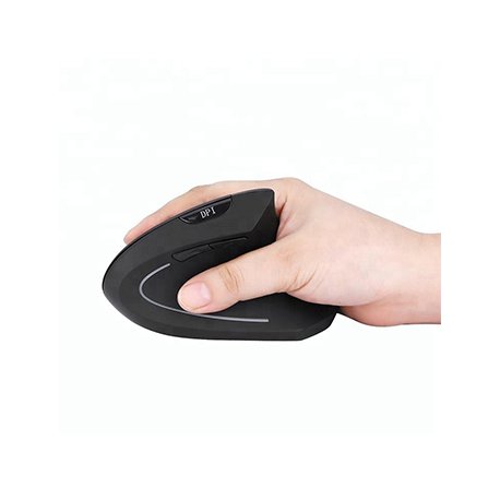 Rato Wireless Ergonómico Vertical BNH-WL-62 Preto 7501011