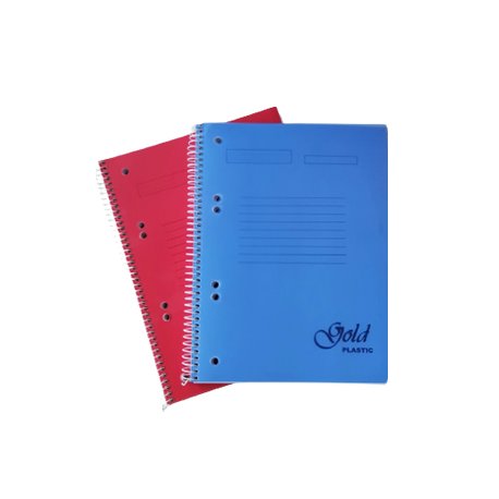 Caderno Espiral A5 Quadriculado Platanus Sortido 100Fls 1un 108Z26178