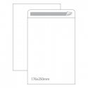 Envelopes Saco 176x250mm B5 Branco 090g Autodex 250un 1611033