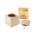 Grow your Garden Girassóis Ambarscience 1061070