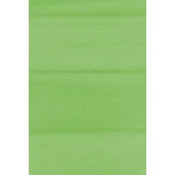 Papel Vegetal A4 100g Verde Limão 10Fls 1837686