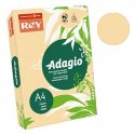 Papel Fotocopia Salmao/Beje Adagio(cd91) A4 80gr 1x500Fls 1801072