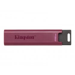 Kingston DataTraveler Max - Drive flash USB - 256 GB - USB 3.2 Gen 2 DTMAXA/256GB