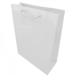 Saco Papel Couché Branco 200g 24x10x31cm c/Asas Cordão 1un 6701663