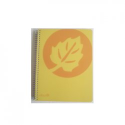 Caderno Espiral A5 Quadriculado PP 120Fls 1un 170Z15377