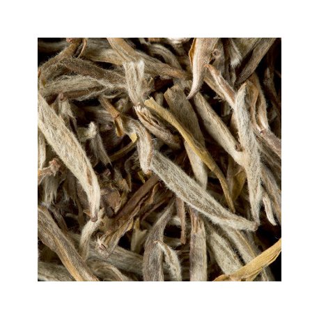 Chá Branco a Granel Jasmin Yin Zhen 500g 6593056