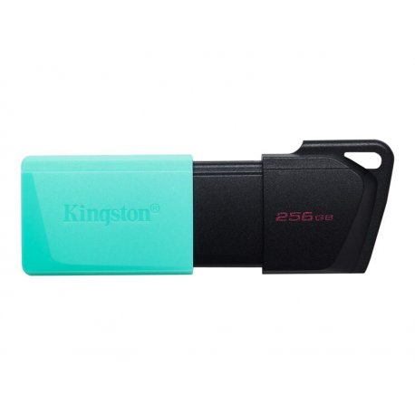 Kingston DataTraveler Exodia M - Drive flash USB - 256 GB - USB 3.2 Gen 1 DTXM/256GB