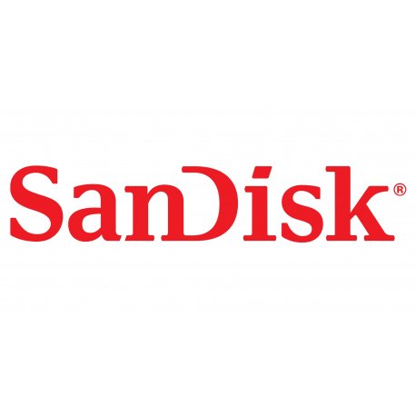 SanDisk Ultra Luxe - Drive flash USB - 1 TB - USB-C 3.2 Gen 1 SDCZ75-1T00-G46