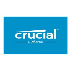 Crucial Pro - DDR5 - módulo - 24 GB - DIMM 288-pin discreto - 6000 MHz / PC5-48000 - CL48 - 1.1 V - unbuffered - on-die ECC - p