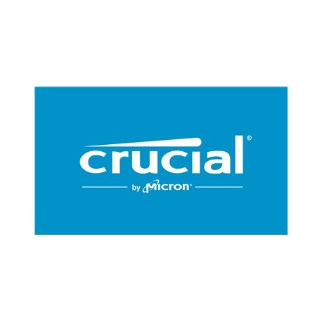 Crucial Pro - DDR5 - módulo - 24 GB - DIMM 288-pin discreto - 6000 MHz / PC5-48000 - CL48 - 1.1 V - unbuffered - on-die ECC - p