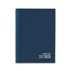 Agenda Diária 2025 Basic 140x200mm Azul 1671098