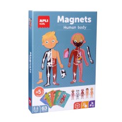 Jogo Educativo Magnético Apli Corpo Humano 63 Peças APL18531