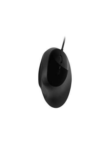 TIC5648735