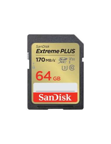 TIC7419426