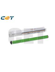 PROCACE3177U
