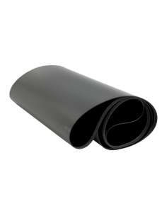 PRORICE6265