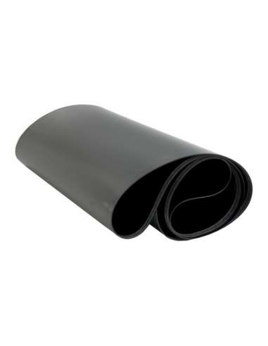 PRORICE6265