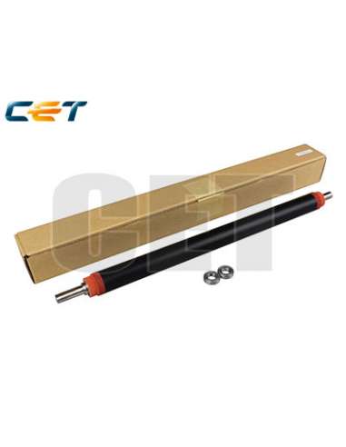 PRORICE6091