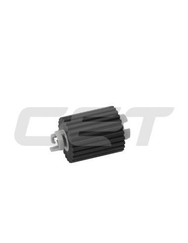 PROMICE341036