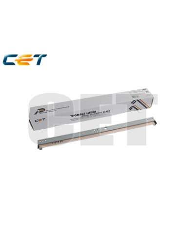 PROMICE281062