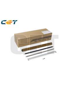 PROMICE501036