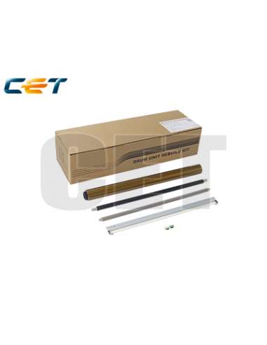 PROMICE501036