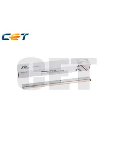 PROMICE281093