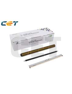 PROMICE501069
