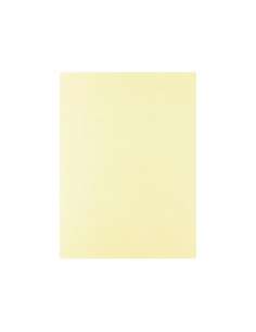 17205944/UN