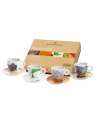 Illy Art Collection