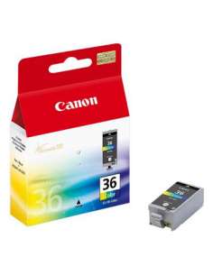 CANCLI36