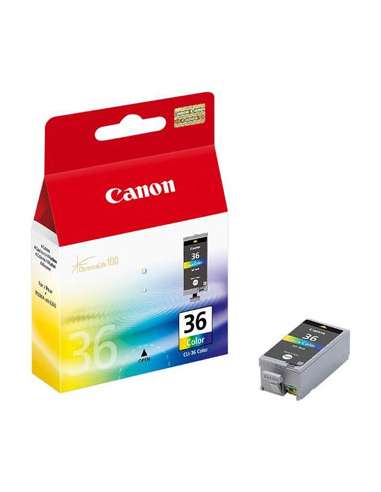 CANCLI36