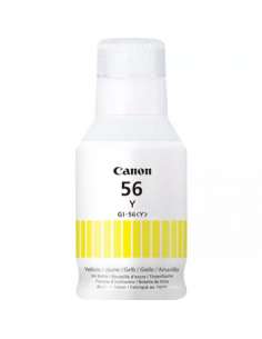 CANGI56Y