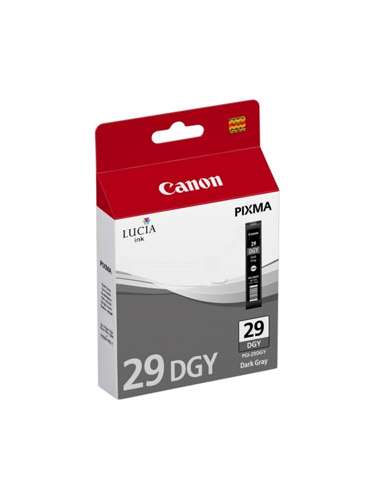 CANPGI29DGY