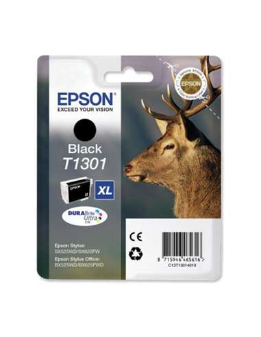 EPSC13T13014010