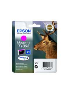 EPSC13T13034010