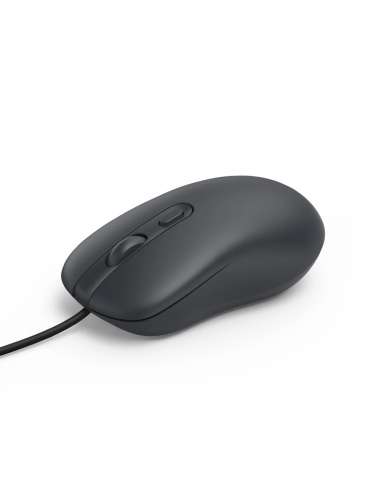HAM173074