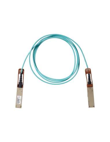 TIC3937345